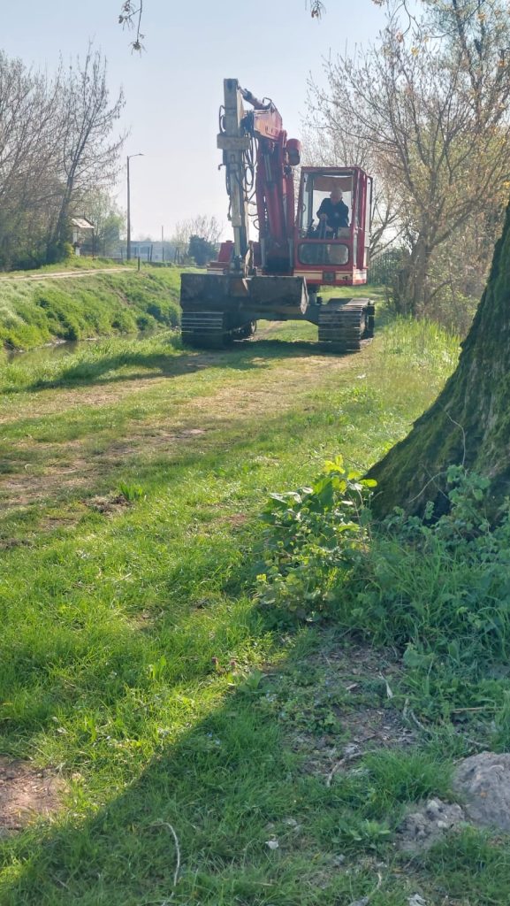Resilient Wetland. Progetto per rigenerare le aree umide veronesi 3 WhatsApp Image 2026 04 22 at 16.57.22 1