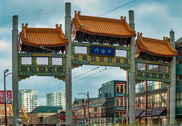 Raccolta di escrementi. Per millenni un mestiere in Cina e Giappone 1 dayamay china town 4684216 640 1