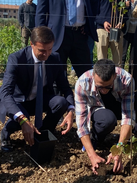 Il vigneto italiano accelera sulla digitalizzazione 1 image