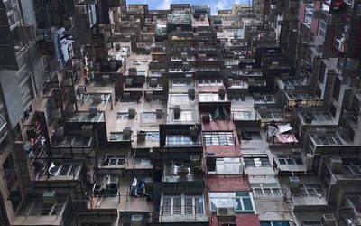 Raccolta di escrementi. Per millenni un mestiere in Cina e Giappone