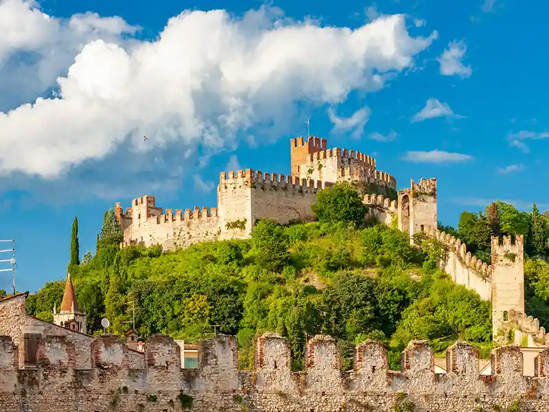 Vino, Uiv approva il piano per contenere la produzione 1 soave 1