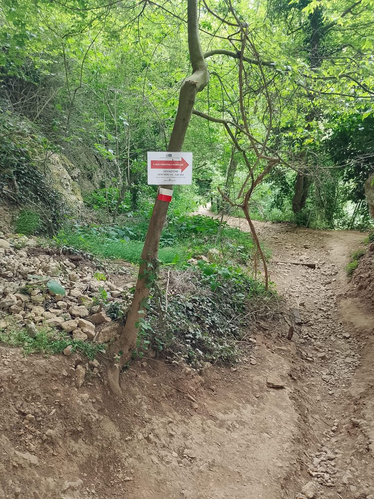 Ponte di Veja chiuso. Lavori per la sicurezza 1 unnamed 2