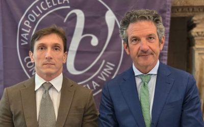 Consorzio Valpolicella, nominato il nuovo Cda: utile record da 296mila euro