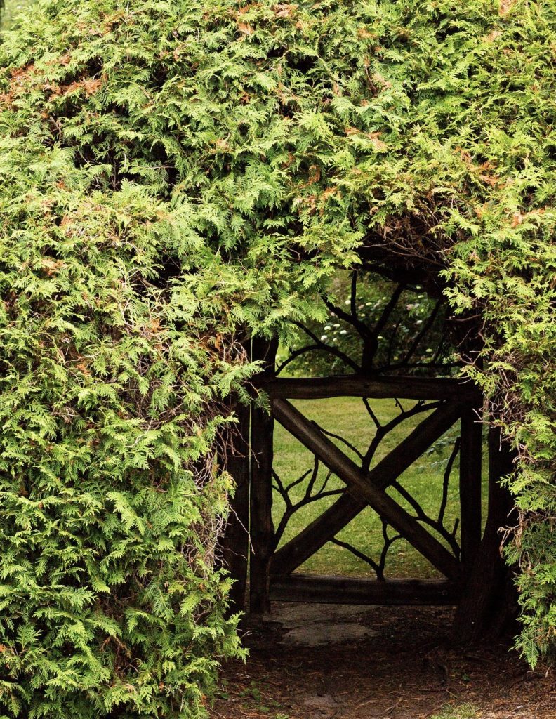 Giardini segreti, Verona apre il suo lato più nascosto 2 Giardini segreti, Verona apre il suo lato più nascosto