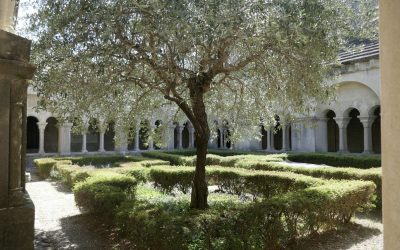 Giardini segreti, Verona apre il suo lato più nascosto