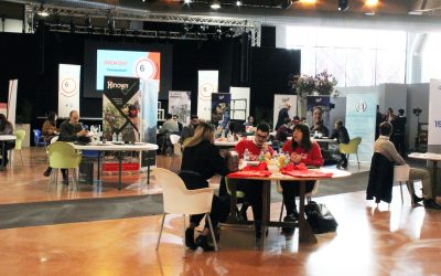 “Sei nel Posto Giusto”: Open Day a Nogara