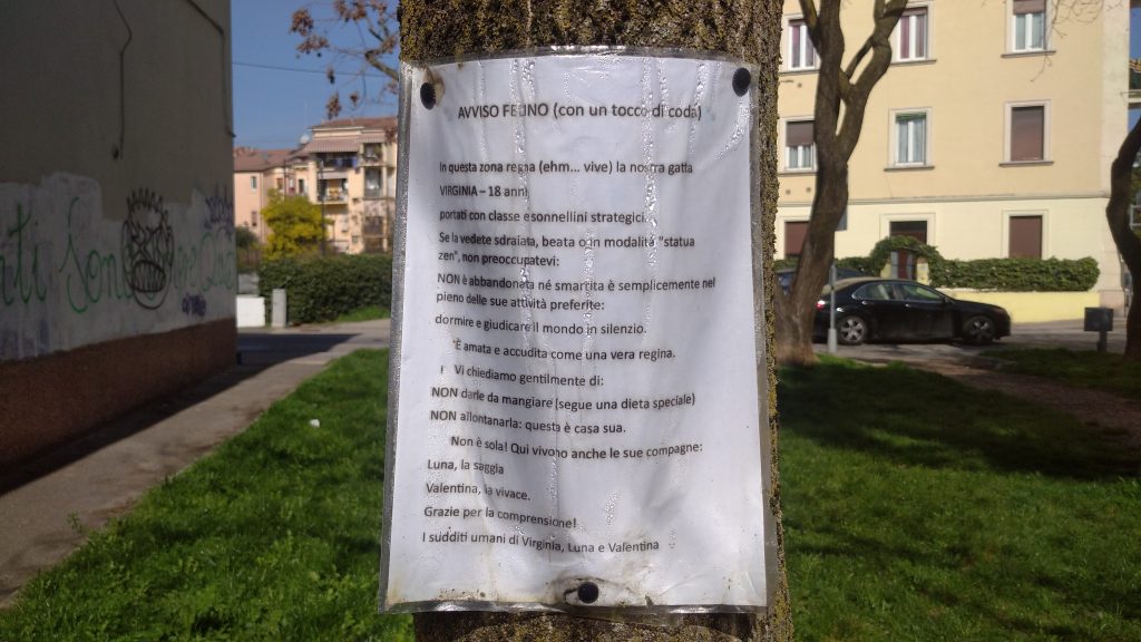 Il marchese Spolverini afflitto per il degrado del suo viale 7 Viale Spolverini. 21