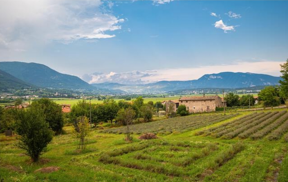 Lago. Case ai turisti. Il mercato spinge i cittadini fuori dal loro paese 1 WhatsApp Image 2026 05 02 at 15.06.17 1