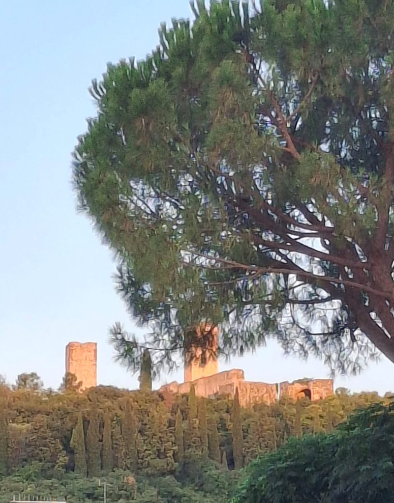 Un'associazione per valorizzare Montorio 3 WhatsApp Image 2026 05 08 at 11.26.55