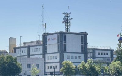Magis e AIRC: azalee, volontari e ricerca oncologica