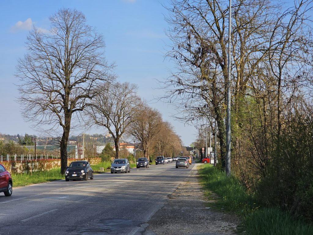 Agronomi e forestali: Verde urbano risorsa, ma serve una manutenzione corretta 1 via preare prima