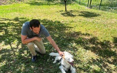 Borgo Venezia, inaugurata la nuova area cani