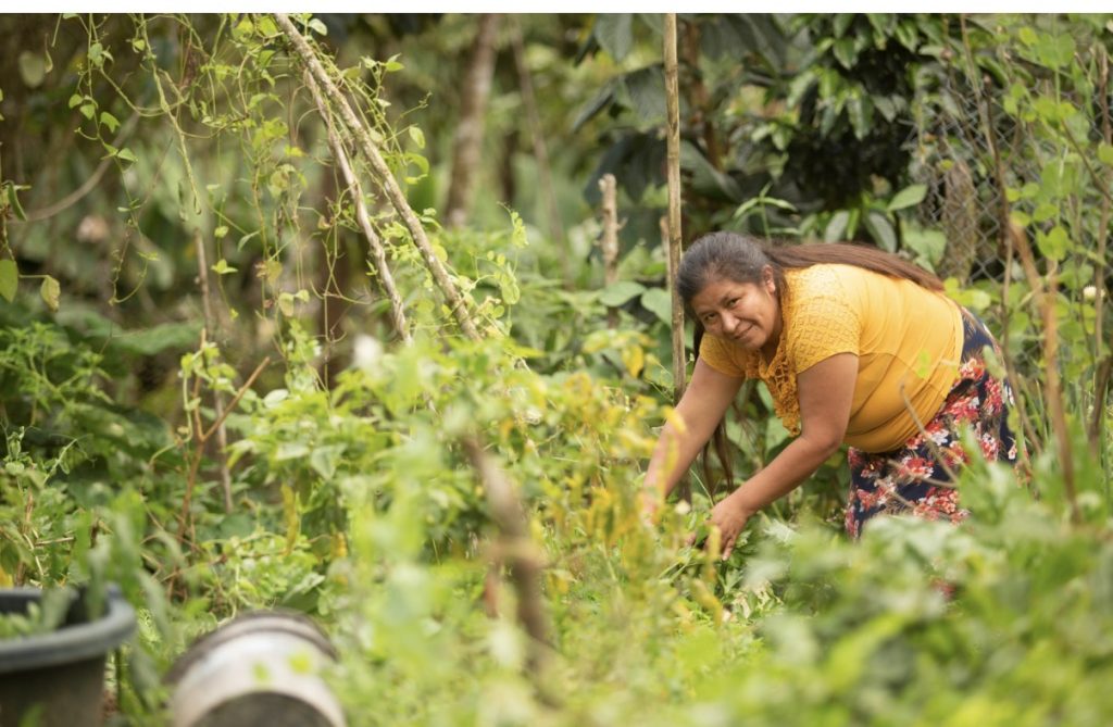 Amazzonia a tavola: un progetto nato a Verona 1 Amazzonia a tavola:un progetto nato a Verona