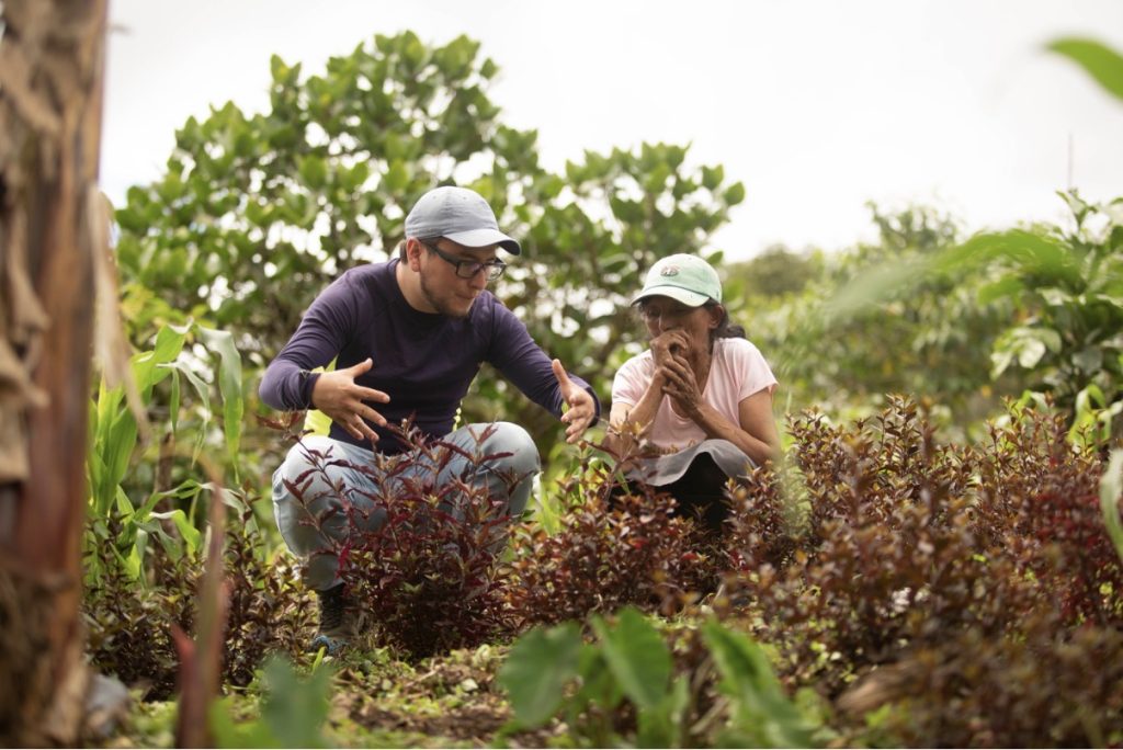 Amazzonia a tavola: un progetto nato a Verona 2 Amazzonia a tavola:un progetto nato a Verona