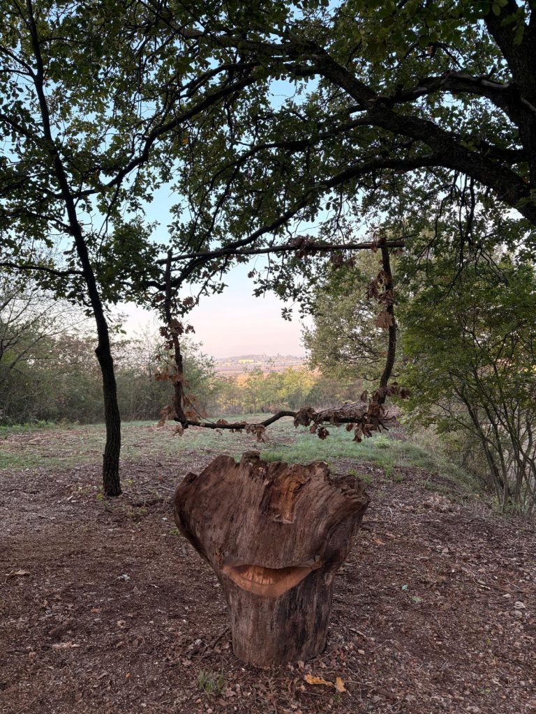 Respira Vita al Mamaor, una giornata per famiglie tra natura ed educazione 1 IMG 7597