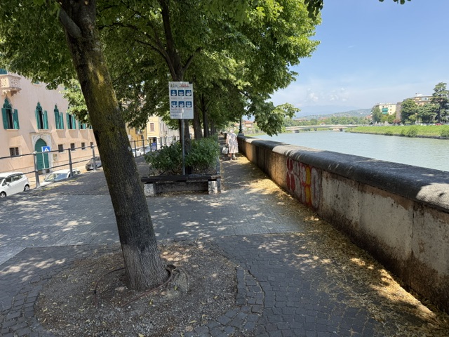 Maranza sulle Rigaste S.Zeno. Aggressione annunciata 1 IMG 8188