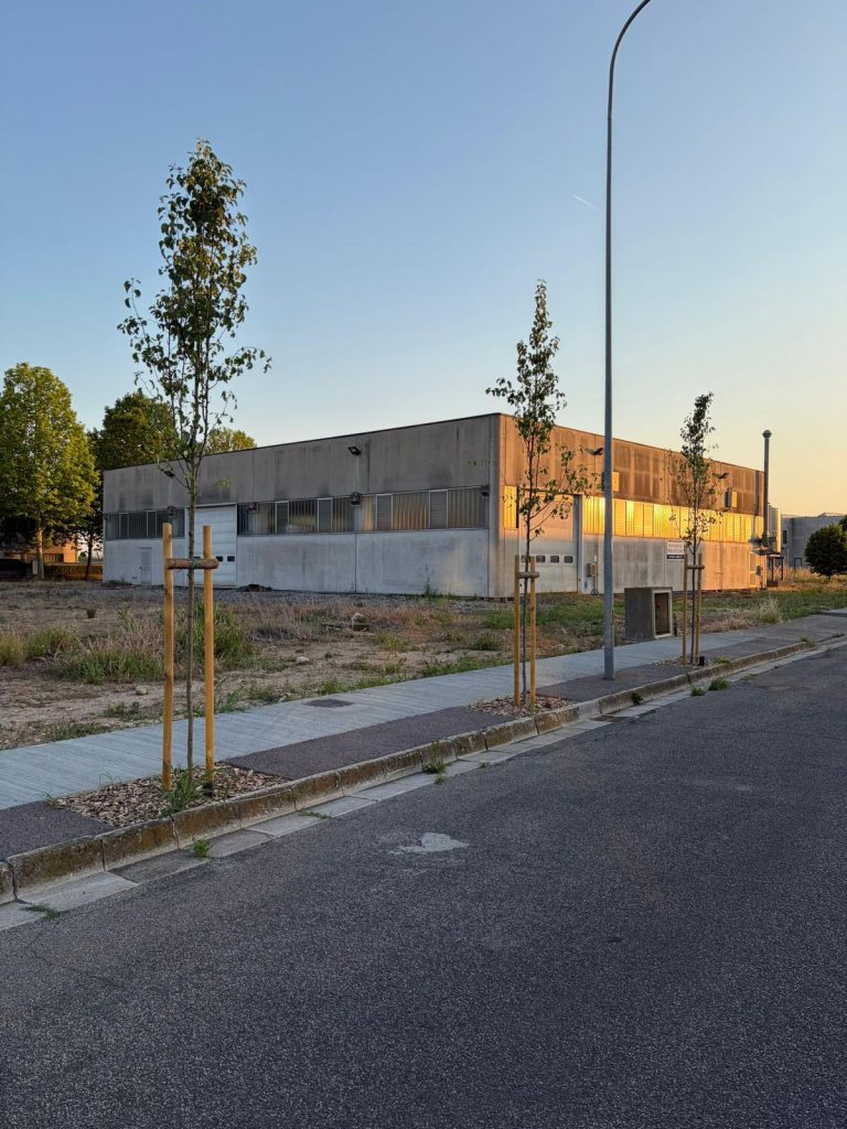 Al via i lavori nella zona industriale di Cerea 3 WhatsApp Image 2026 06 06 at 18.41.07