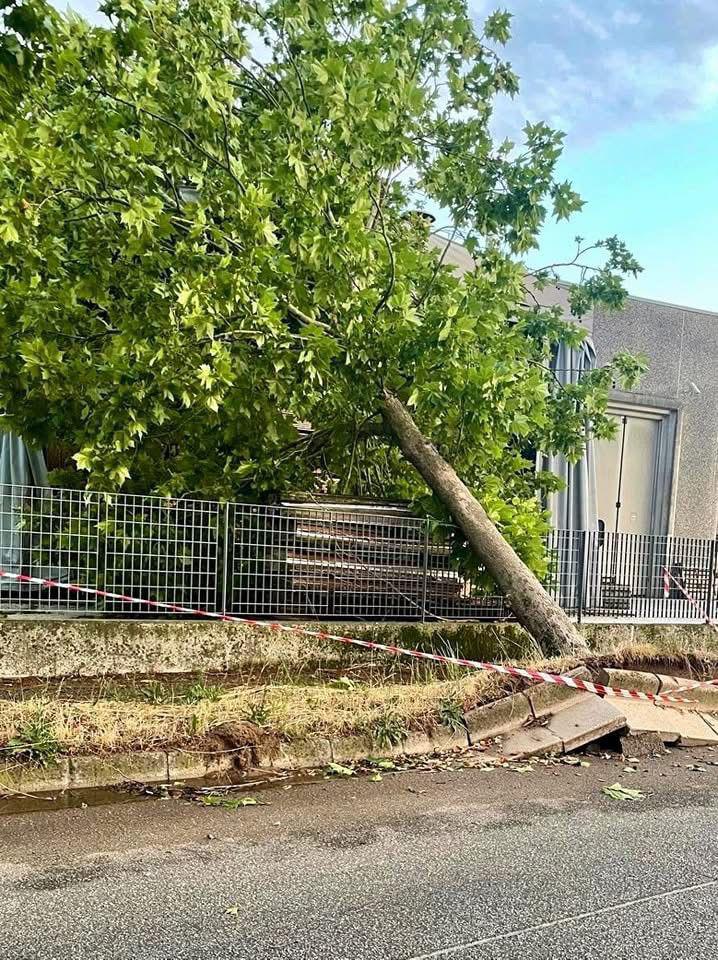 Al via i lavori nella zona industriale di Cerea 1 WhatsApp Image 2026 06 06 at 18.41.08 2