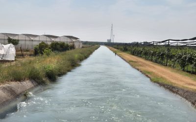 Acqua. Soffre la Bassa Veronese