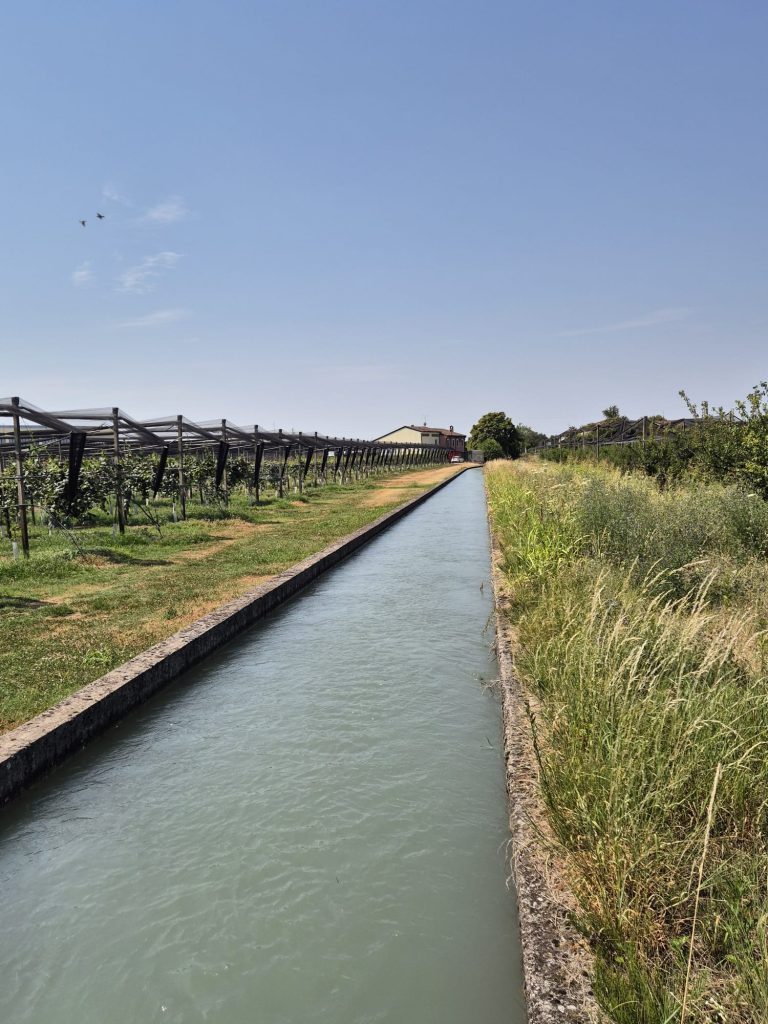 Acqua. Soffre la Bassa Veronese 3 bongiovanna ovest