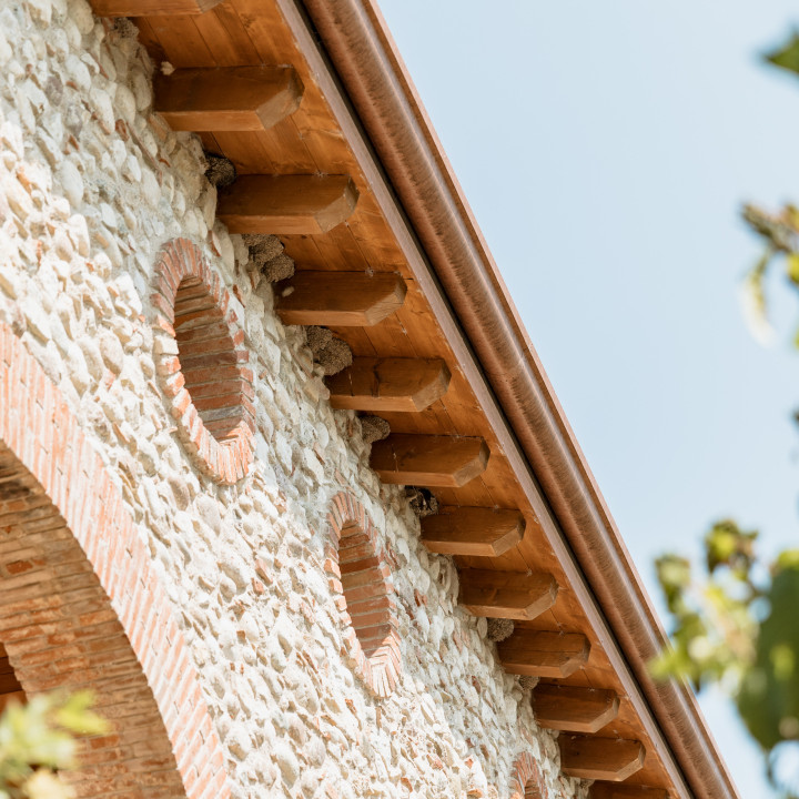 Colonia di rondini sul lago: la barriera contro le zanzare sul Garda 1 d 12 2X6A8457
