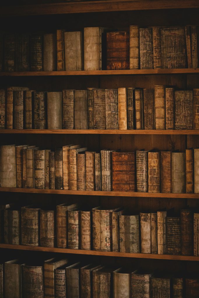 La morte dei libri e la nascita del nuovo mondo 1 dana ward 6JffLQi XqY unsplash