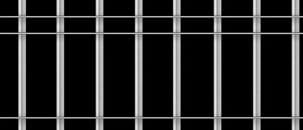 Alemanno domani esce dal carcere dopo 534 giorni 2 fence 1986479 1280.png