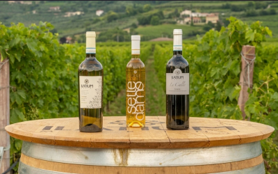 Il Soave conquista i mercati esteri