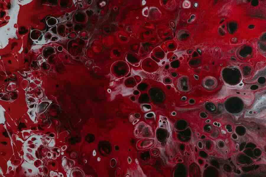 Emocromatosi. Visite gratuite al Policlinico di B.Roma 1 photo 1566410845311 1201aefbee6a