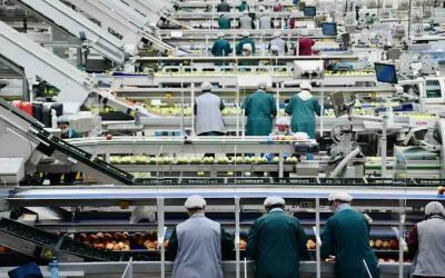 Sicurezza alimentare: che cosa fa l’Ulss 9