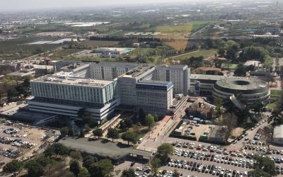 Emocromatosi. Visite gratuite al Policlinico di B.Roma