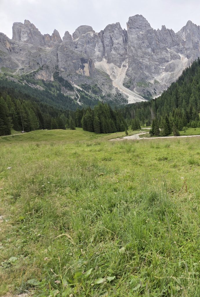 Italia. Sempre più nazione verde e coperta dai boschi 2 20260708 1029022