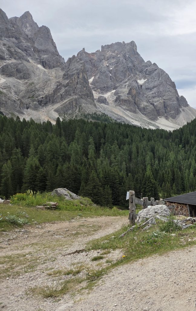 Italia. Sempre più nazione verde e coperta dai boschi 1 20260708 1104081 2 2