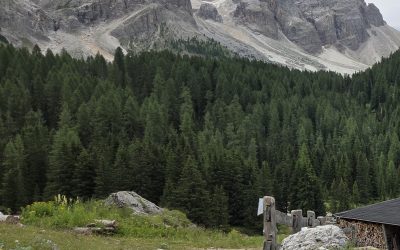 Italia sempre più verde e coperta dai boschi
