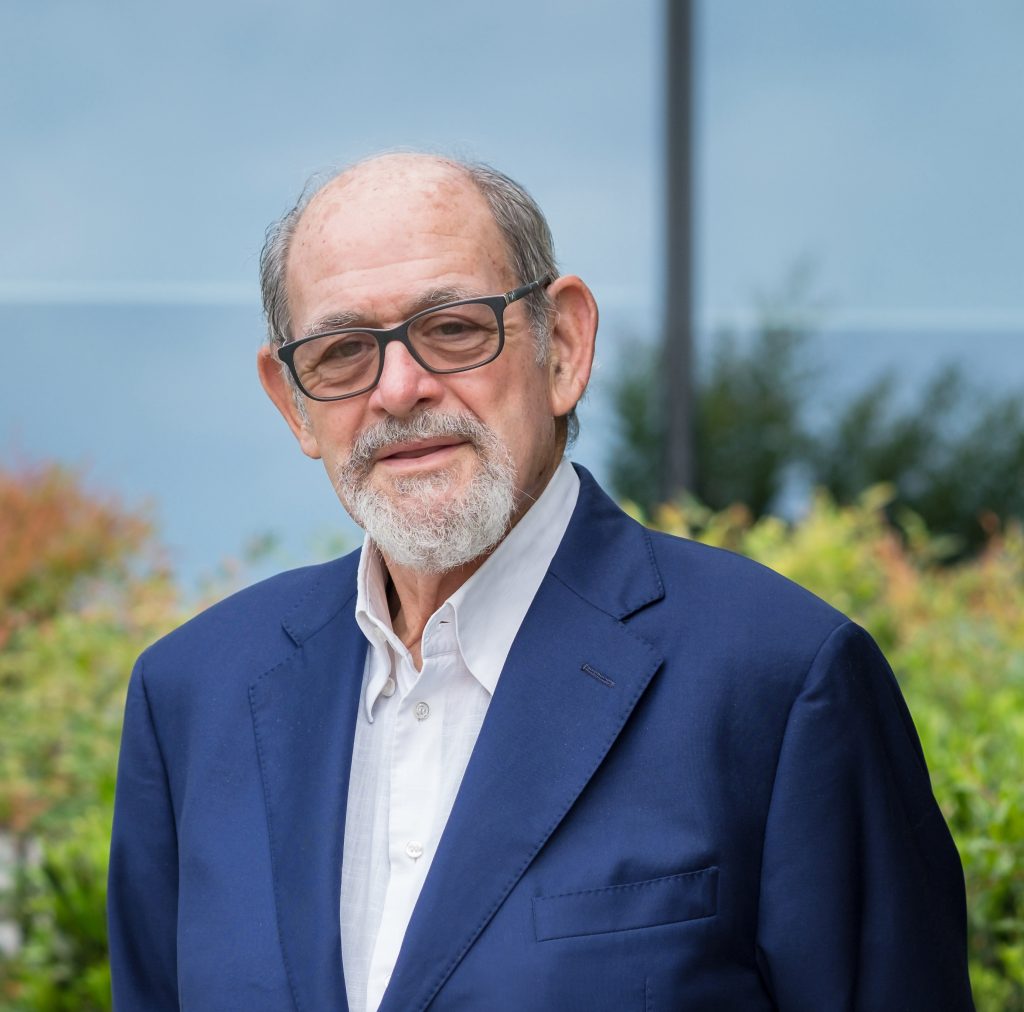 Collettore del Garda, pronto il progetto esecutivo per Bardolino 1 Angelo Cresco AGS