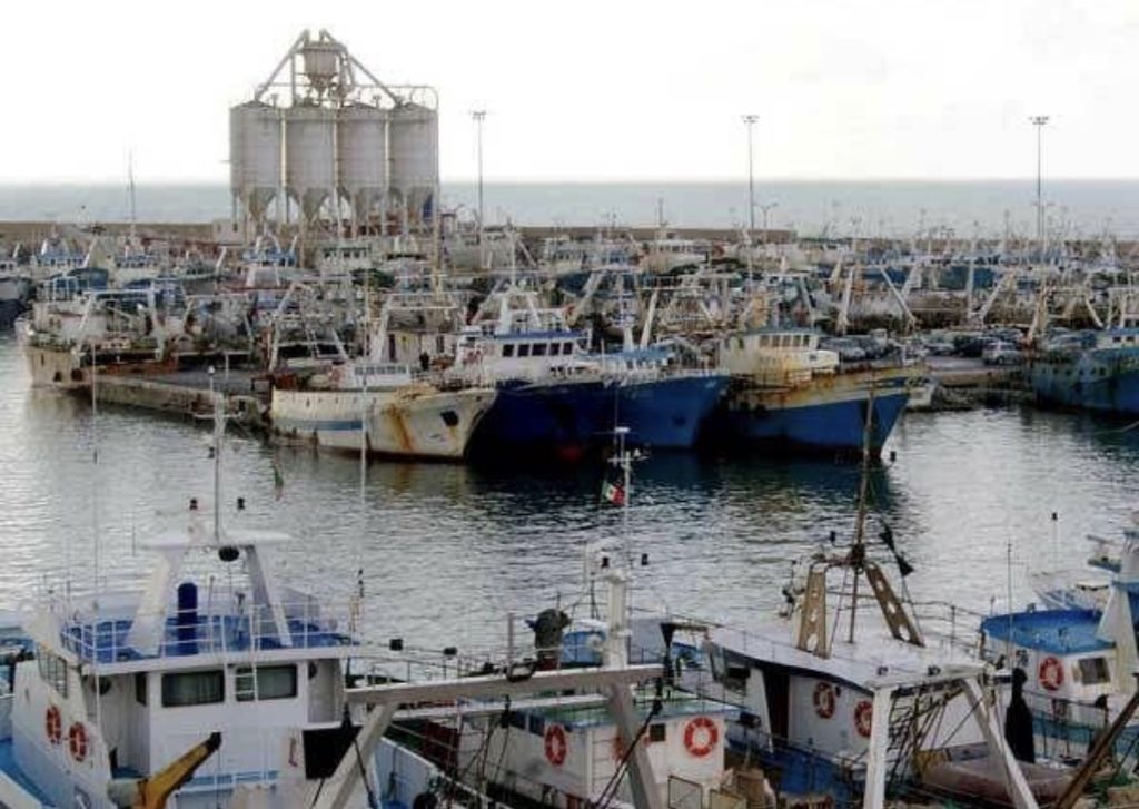 Maxi sequestro di pesce irregolare 2 Maxi sequestro di pesce irregolare