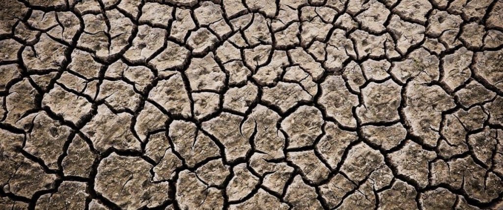 Veneto, scatta lo stato di emergenza per la siccità 4 Veneto, scatta lo stato di emergenza per la siccità