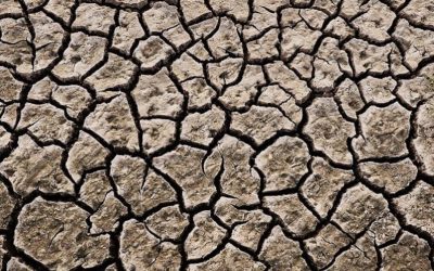 Veneto, scatta lo stato di emergenza per la siccità