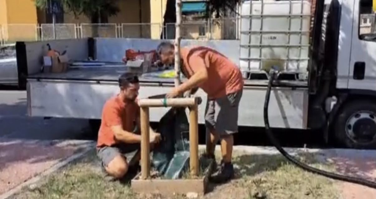 Alberi, irrigazione fino a cinque anni contro il caldo record
