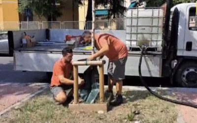 Alberi, irrigazione fino a cinque anni contro il caldo record