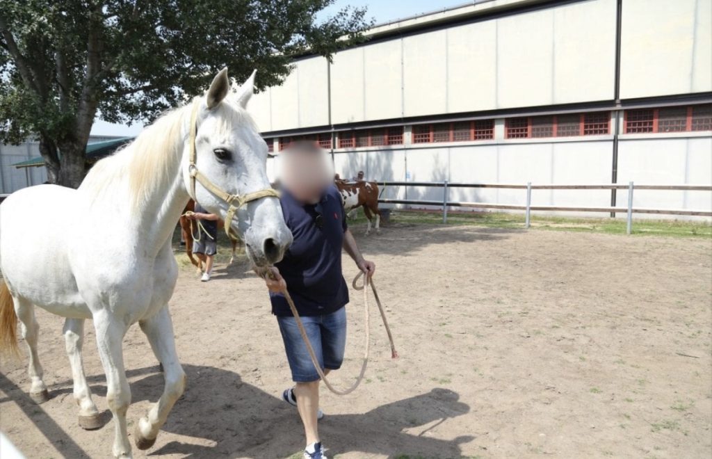 Fieracavalli porta i detenuti al lavoro con i primi tirocini 1 Fieracavalli porta i detenuti al lavoro con i primi tirocini