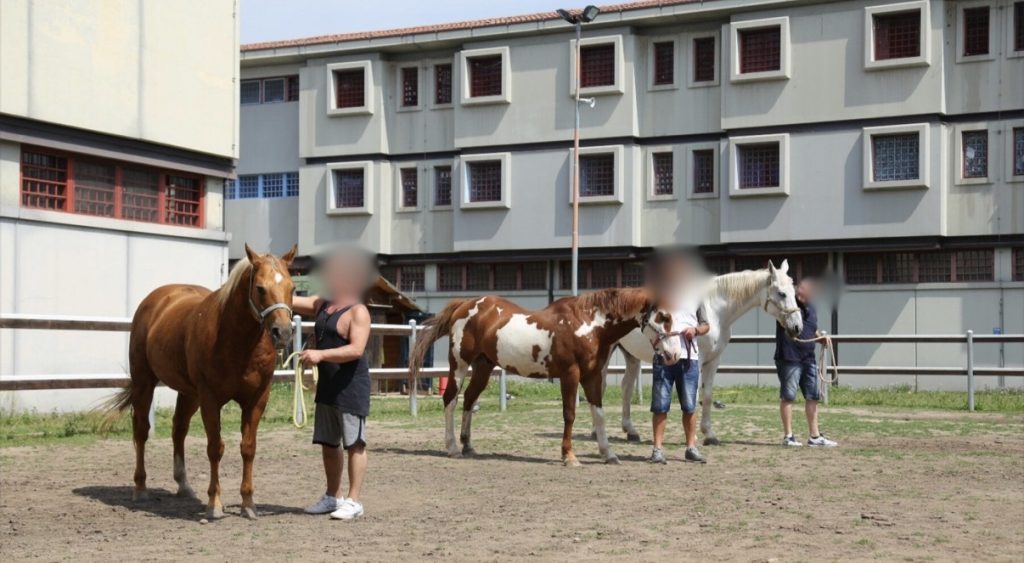 Fieracavalli porta i detenuti al lavoro con i primi tirocini 2 Fieracavalli porta i detenuti al lavoro con i primi tirocini