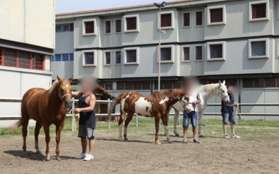 Fieracavalli porta i detenuti al lavoro con i primi tirocini