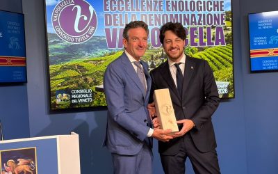 Valpolicella, il vino veronese conquista il mondo: 2.200 imprese e 87 mercati esteri