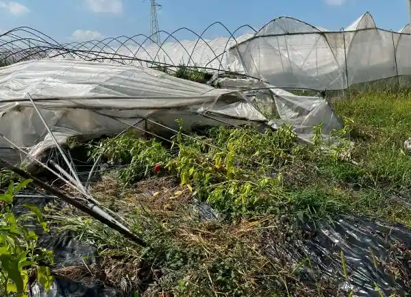 Milioni di danni per il nubifragio nella Bassa