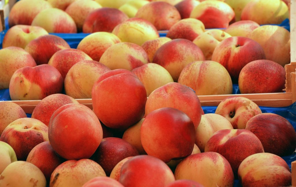 AperiPesca sul Ponte fra Pescantina e Bussolengo 1 peaches 3231448 1280