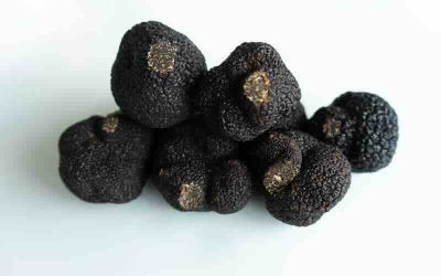Fiera del Tartufo a Ferrara di Monte Baldo dal 17 al 20 luglio