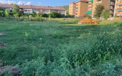 Studentato di via Sacchi. Iniziati i lavori