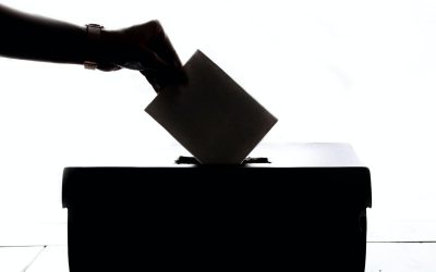Le preferenze. Un’occasione da non perdere