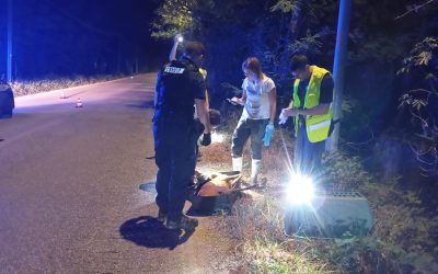 Cerbiatto investito a Montorio: salvato da vigili e veterinari